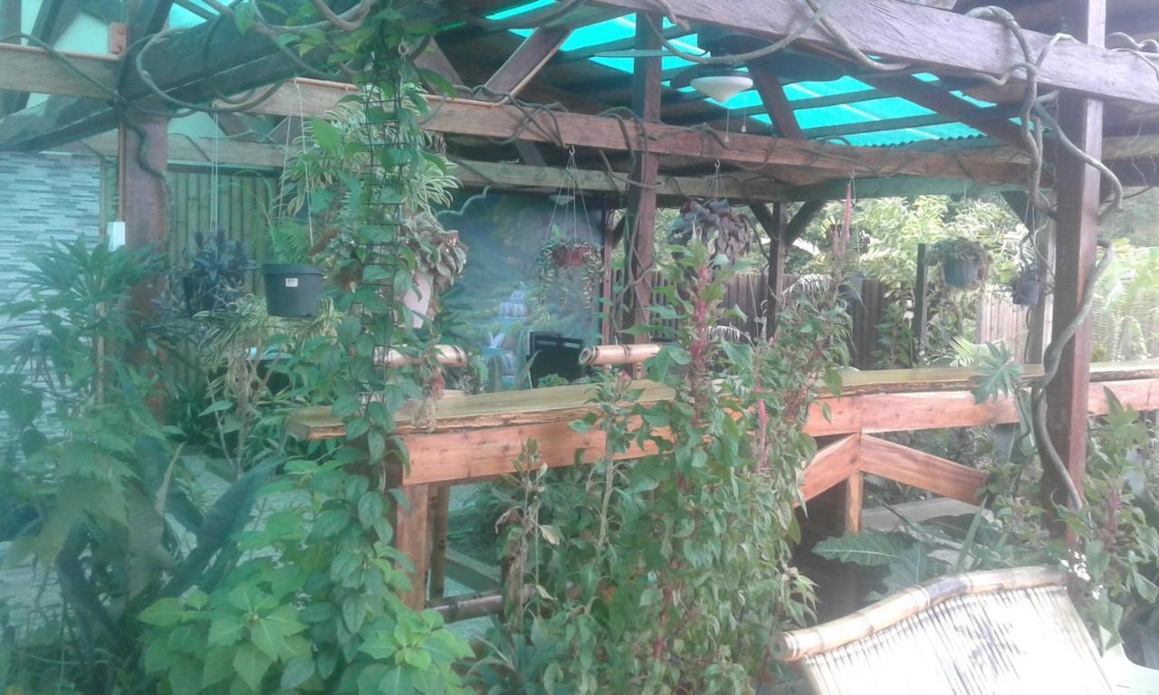 Jungle Of Peace Resort Siquijor Zewnętrze zdjęcie