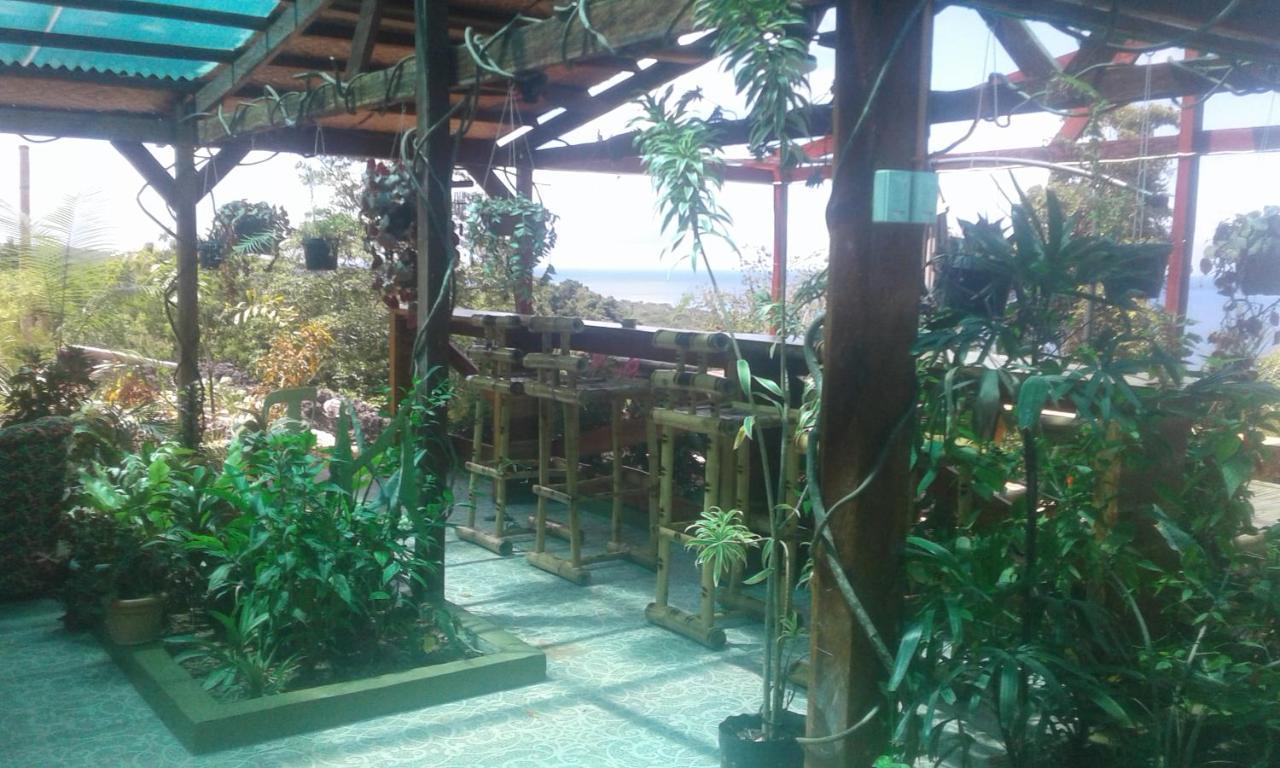 Jungle Of Peace Resort Siquijor Zewnętrze zdjęcie