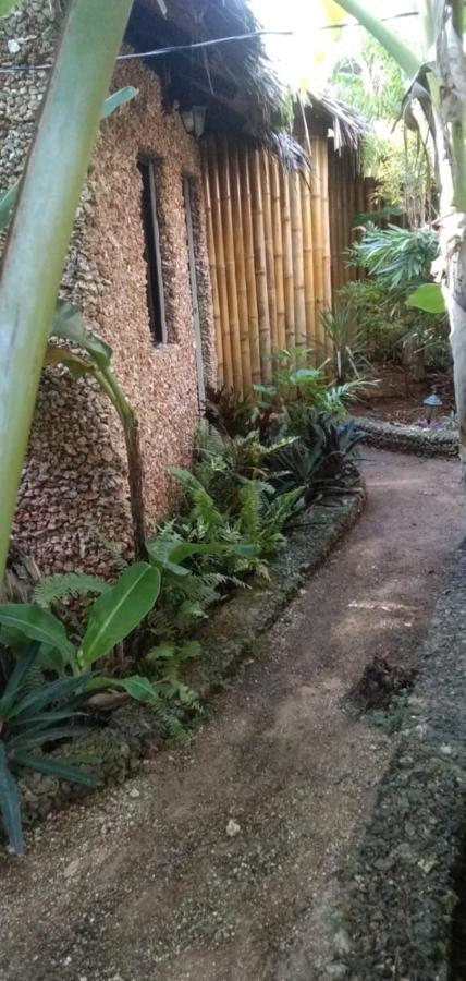 Jungle Of Peace Resort Siquijor Zewnętrze zdjęcie