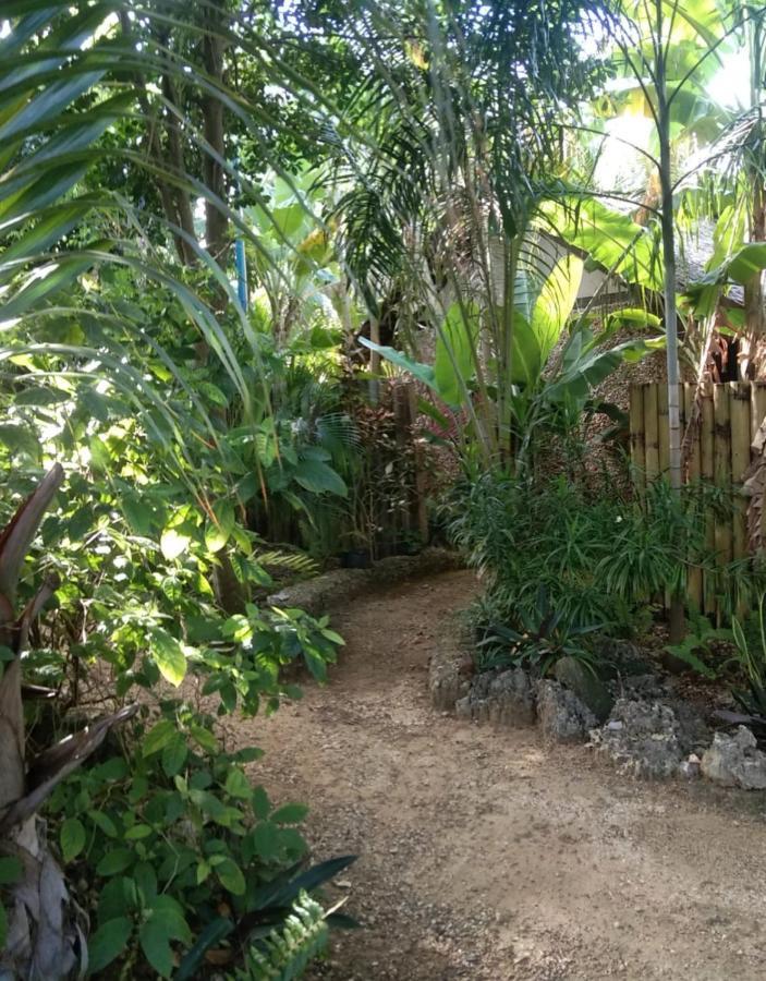 Jungle Of Peace Resort Siquijor Zewnętrze zdjęcie