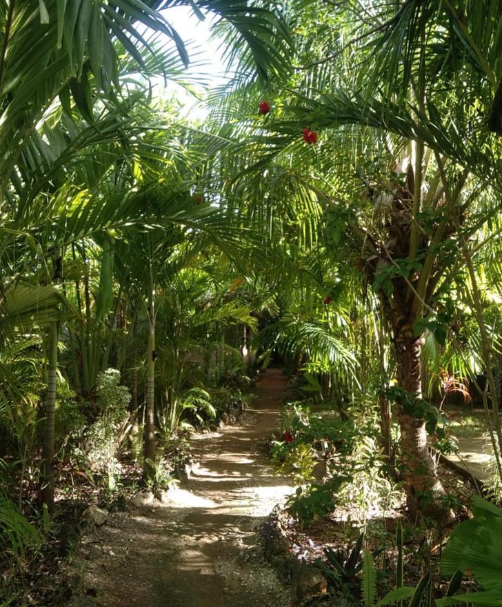 Jungle Of Peace Resort Siquijor Zewnętrze zdjęcie